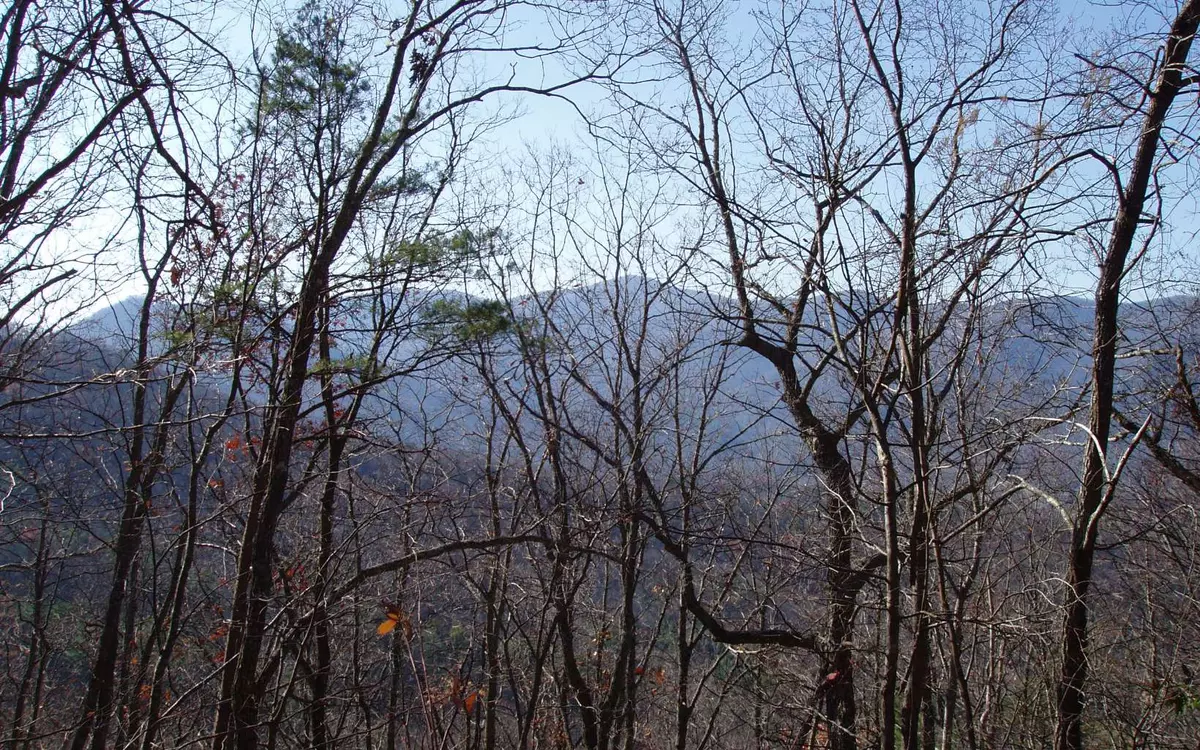 Hiawassee, GA 30546,LOT 1 Caesar Gap Road