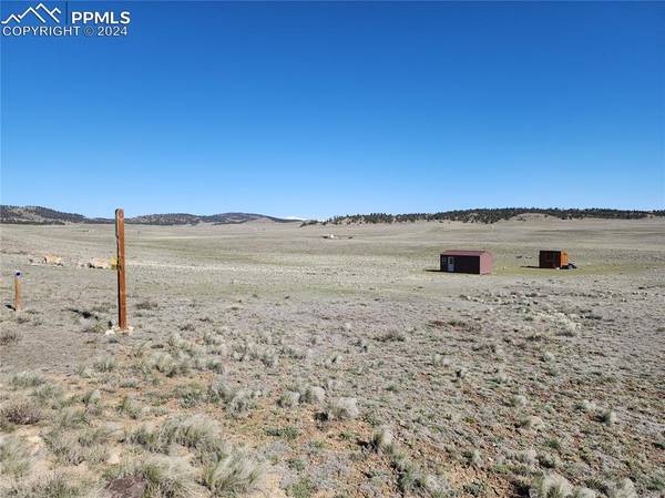 3974 Goldenberg Canyon RD, Hartsel, CO 80449