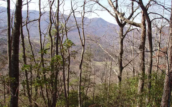 Hiawassee, GA 30546,LOT 1 Caesar Gap Road