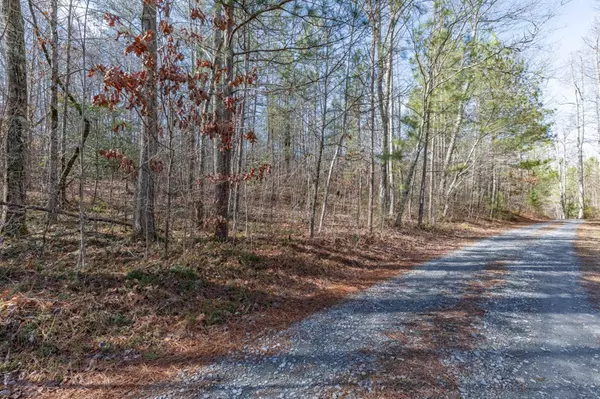 Ellijay, GA 30540,Lot 50 Tranquility @ Carters Lake