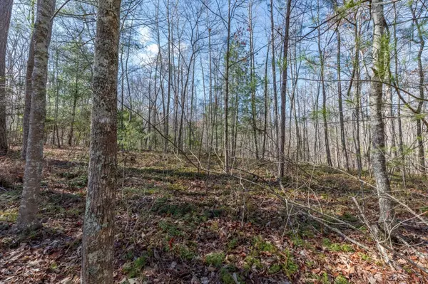 Ellijay, GA 30540,Lot 50 Tranquility @ Carters Lake