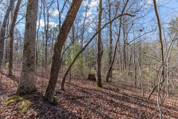 Ellijay, GA 30540,Lot 50 Tranquility @ Carters Lake