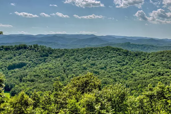 Blue Ridge, GA 30513,98 Snake Nation Overlook