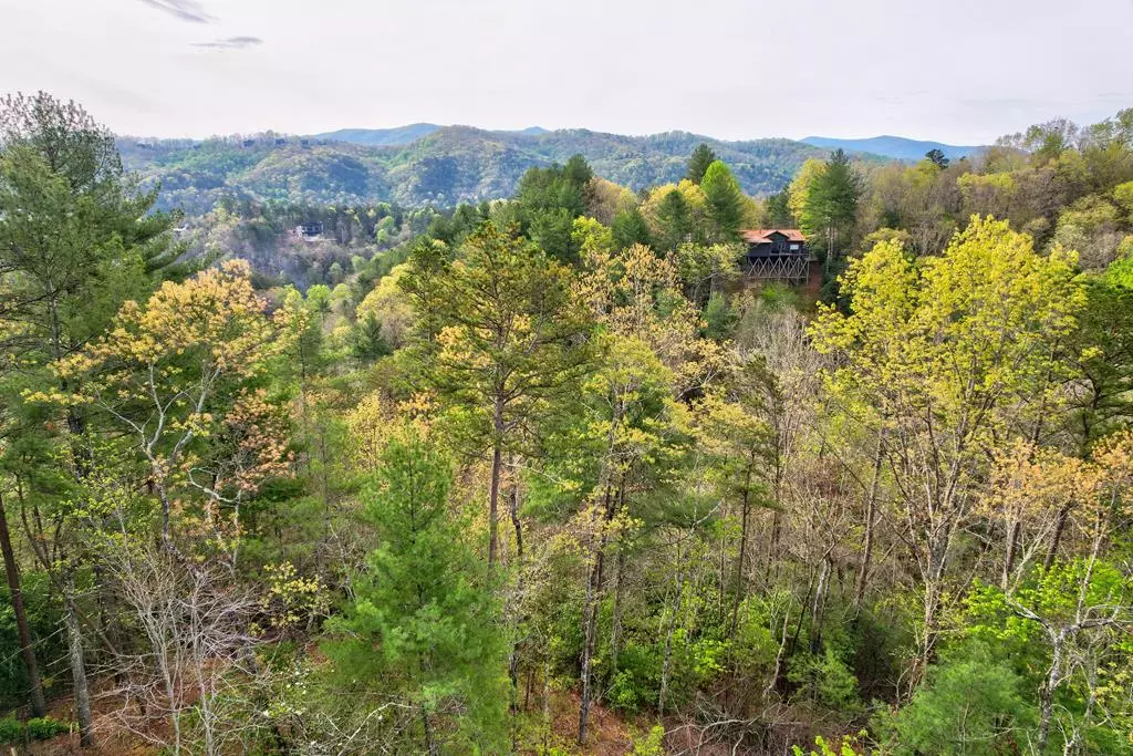 Blue Ridge, GA 30513,Lot 52 Community Hill Drive