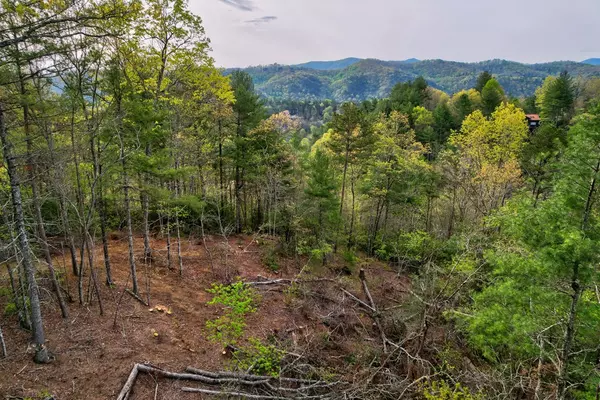 Blue Ridge, GA 30513,Lot 53 Community Hill Drive