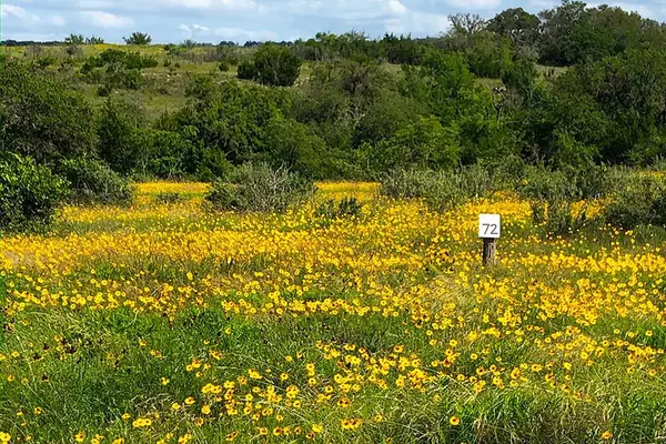 Johnson City, TX 78636,207 -- Verbena