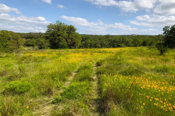 Johnson City, TX 78636,207 -- Verbena