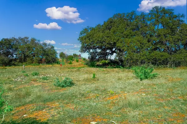 Johnson City, TX 78636,207 -- Verbena