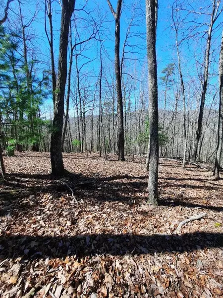 Lot # 7 Quail Run Ridge, Murphy, NC 28906