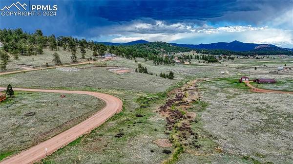 315 Empire RD, Florissant, CO 80816