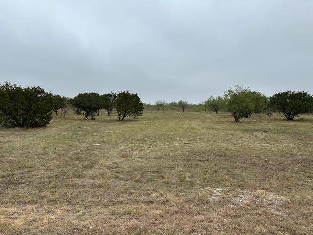 470 Frog Branch Court, Graford, TX 76449