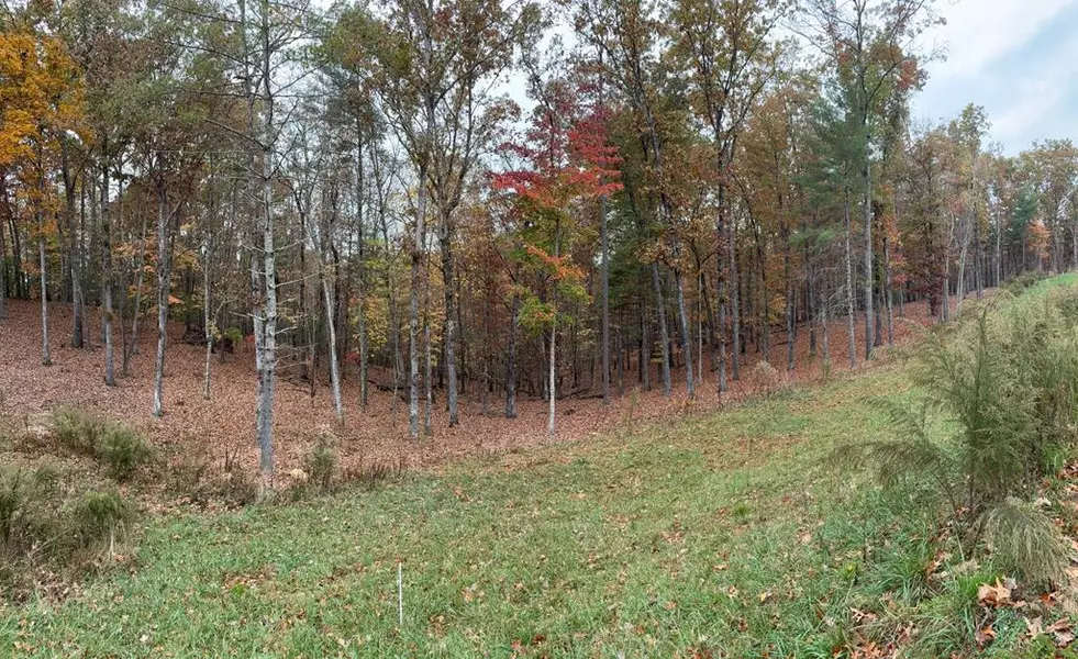 Lot 41 Ridge Drive, Morganton, GA 30560