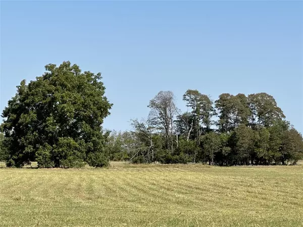 Kaufman, TX 75142,TBD Lot 3 County Road 111