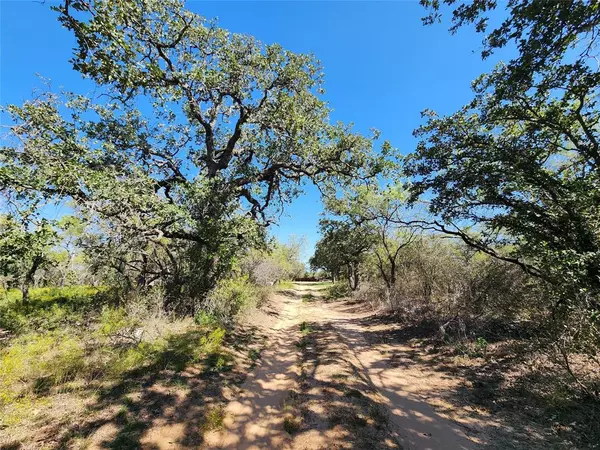 Cross Plains, TX 76443,0000 County Road 445