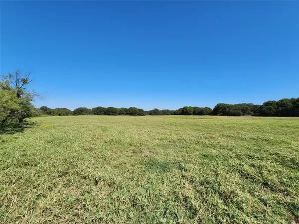 Cross Plains, TX 76443,0000 County Road 445