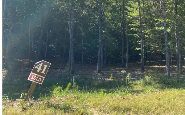 Morganton, GA 30560,Lot 41 Ridge Drive