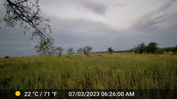 Pottsville, TX 76565,2245 CR 619