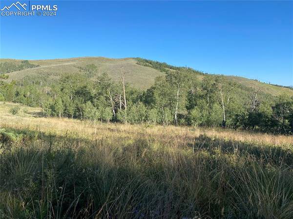 1585 Grenoble ST, Granby, CO 80446