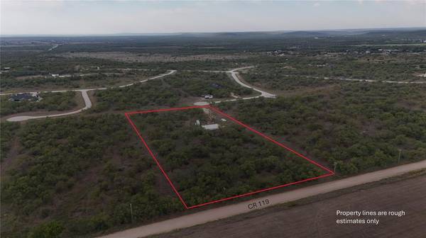 Albany, TX 76430,Lot 4 Fandangle Dr