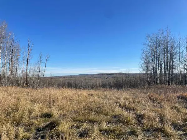 Rural Woodlands County, AB T7S 1A1,Township Road 584 Township