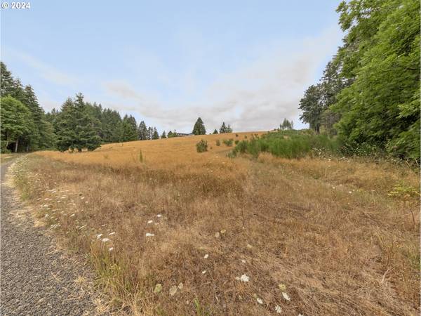 24631 NW Bacona RD, Buxton, OR 97109