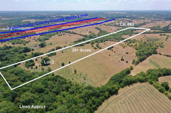 Farmersville, TX 75442,29 AC CR 663 #2