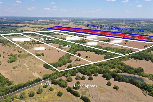 Farmersville, TX 75442,29 AC CR 663 #2