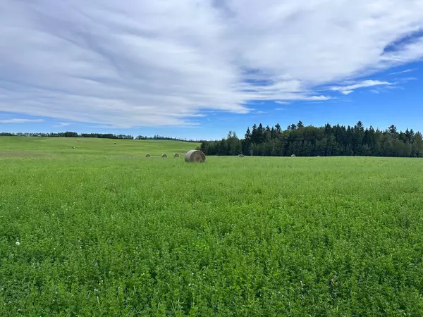 Rural Clearwater County, AB T4T 2A2,On Township Road 413