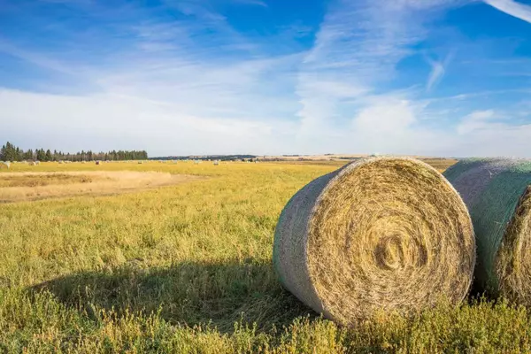 NW;32;22;2;W5M, Rural Foothills County, AB T1S 0T3