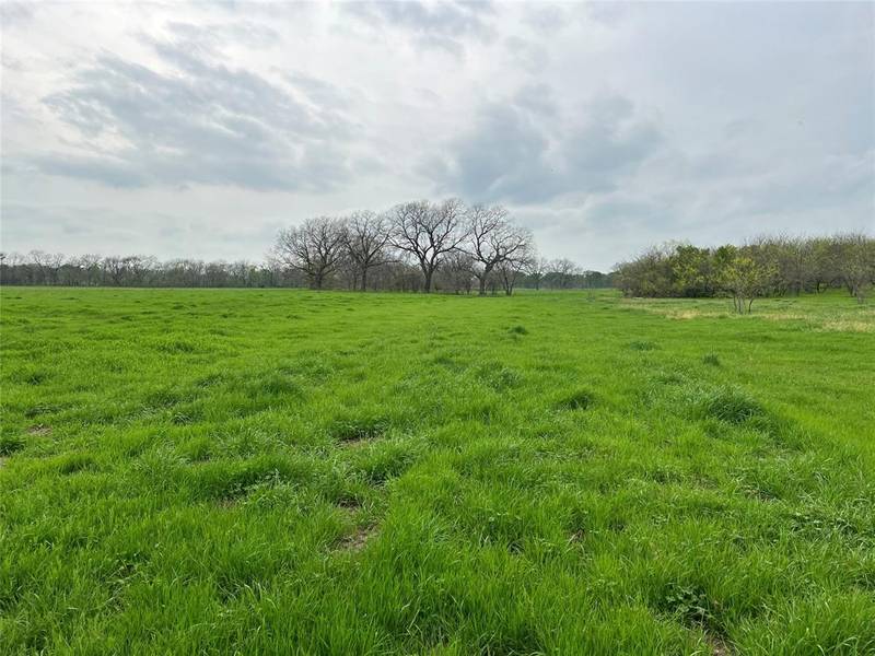 TBD TBD FM 2071, Gainesville, TX 76240