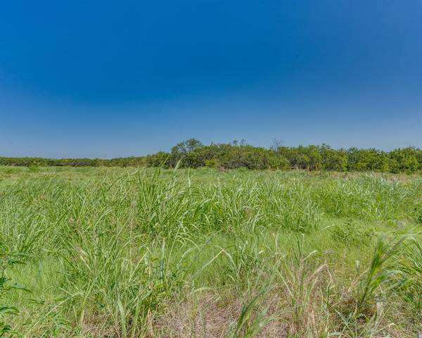 Blooming Grove, TX 76626,0002 NE CR 4040