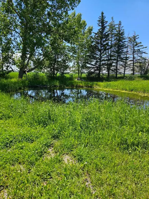 Rural Rocky View County, AB T1X 0H7,M4; R28; T22; S13; NE