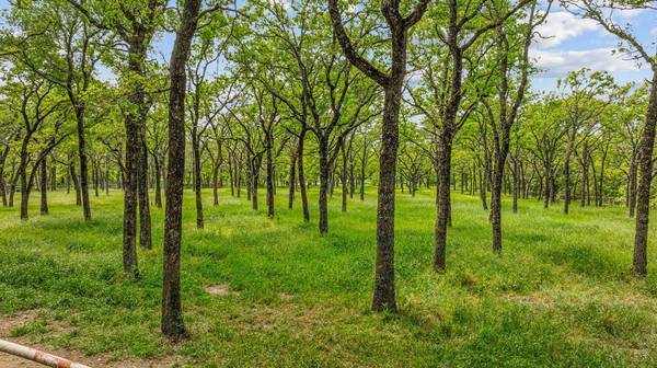 Weatherford, TX 76087,TBD (A) Dean Road