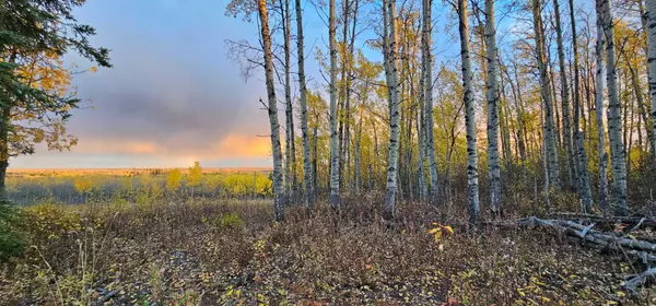 Rural Saddle Hills County, AB T0H 0G0,92 Range