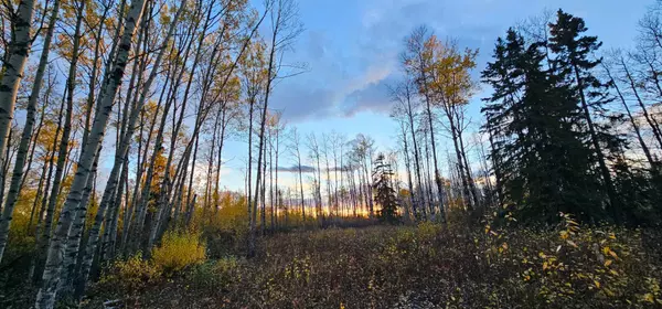 Rural Saddle Hills County, AB T0H 0G0,92 Range