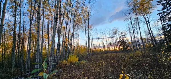 Rural Saddle Hills County, AB T0H 0G0,92 Range