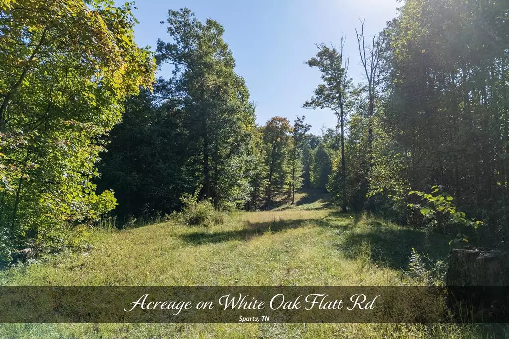 Sparta, TN 38583,35 AC White Oak Flatt Rd