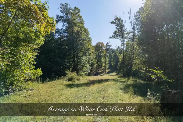 35 AC White Oak Flatt Rd, Sparta, TN 38583