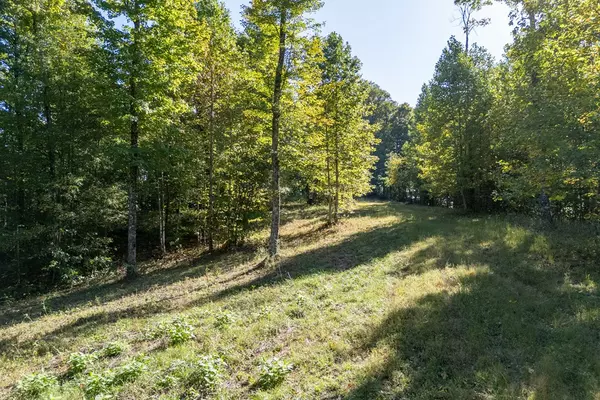 Sparta, TN 38583,35 AC White Oak Flatt Rd