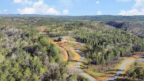 Ellijay, GA 30540,Lot 146 Eddy Waters Circle