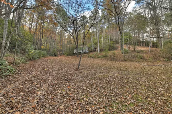 Blue Ridge, GA 30513,23.26 Ac Weaver Creek Road