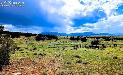 Walsenburg, CO 81089,Venado DR