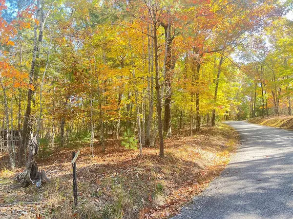 Mineral Bluff, GA 30559,0 Robert Miller Lane