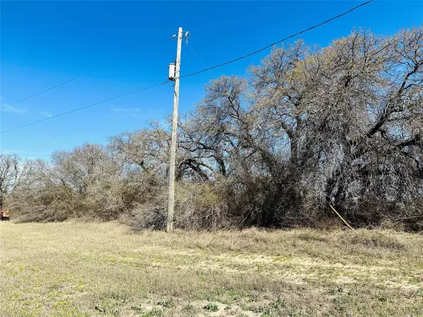 Cross Plains, TX 76443,TBD State Highway 36 E