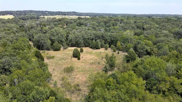 Athens, TX 75751,TR 1 & 2 CR 41514