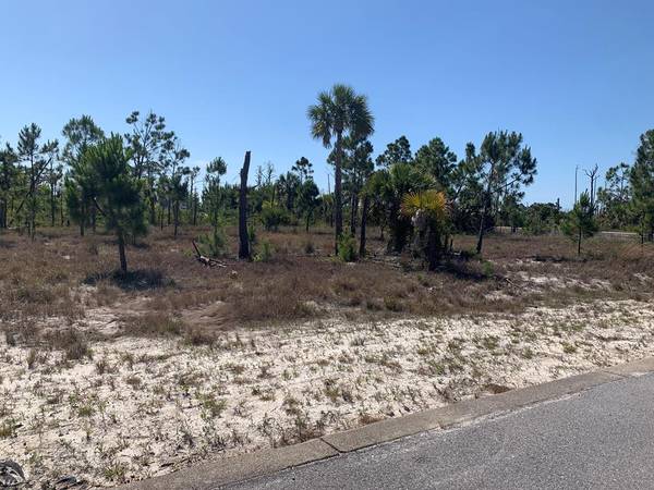 Lot 6 Hemmingway CR, Port St. Joe, FL 32456