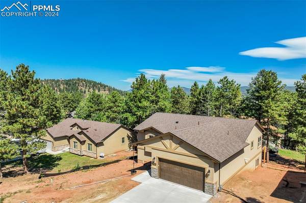 Woodland Park, CO 80863,610 Misty Pines CIR