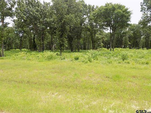 Yantis, TX 75497,Lot 13 Angler Shores