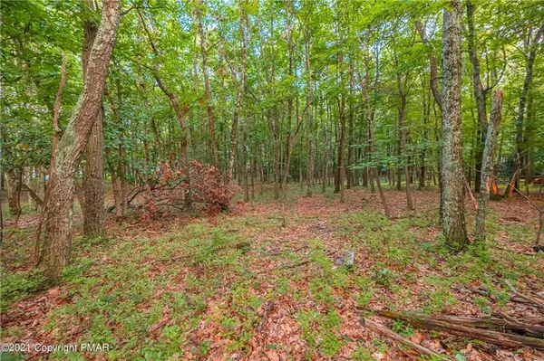 Iroquois Trail #3212, Pike County, PA 18337