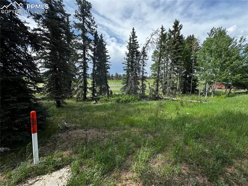 199 Joshua RD, Divide, CO 80814